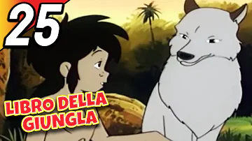 LIBRO DELLA GIUNGLA | Episodio 25 | Italiano | The Jungle Book