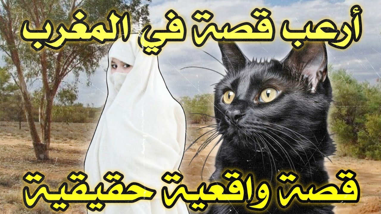 أخطر قصة واقعية مرعبة حدثت في المغرب 620# | قصص رعب بالدارجة | 9isas ro3b wa9i3iya