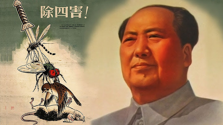 When Mao Waged War on the Sparrows and Lost.