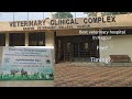 Best veterinary hospital in nagpur nagpur government veterinary hospital petdoctor petclinic yt