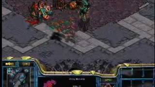 2004 Grand Final: StarCraft [pG]FisheYede vs SW)TreK[cF] 32R 1Set