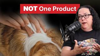 Natural Flea & Tick Treatment for Dogs: The Layered Plan That Works