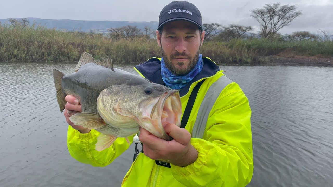 Catching GIANT BASS in OVERCAST and RAINY conditions at ALBERT FALLS