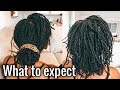 What to expect in your first week of your Loc Journey | Two Strand Twist Method on FINE 4B hair