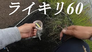 やはりライキリ60は強かった デイシーバス ― やまいぬ