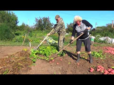 Приспособления для копки картофеля своими руками