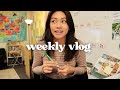 Vlog  student rewards adult ad indy turns 2 
