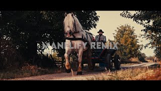 Nicole Cherry X X - Liniște Manelify Remix