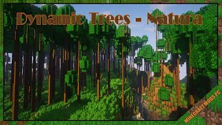 Dynamic Trees – Natura Mod 1.12.2 & How To Install for Minecraft screenshot 4