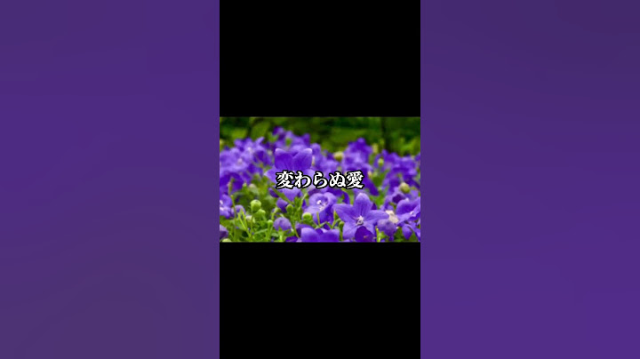 知っている花言葉はあったかな？