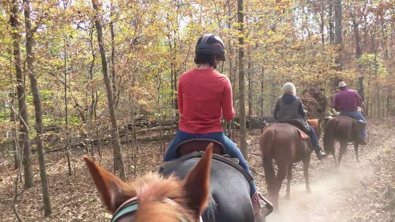 Riding At Wrangler Horse Camp - The Land Between The Lakes - YouTube