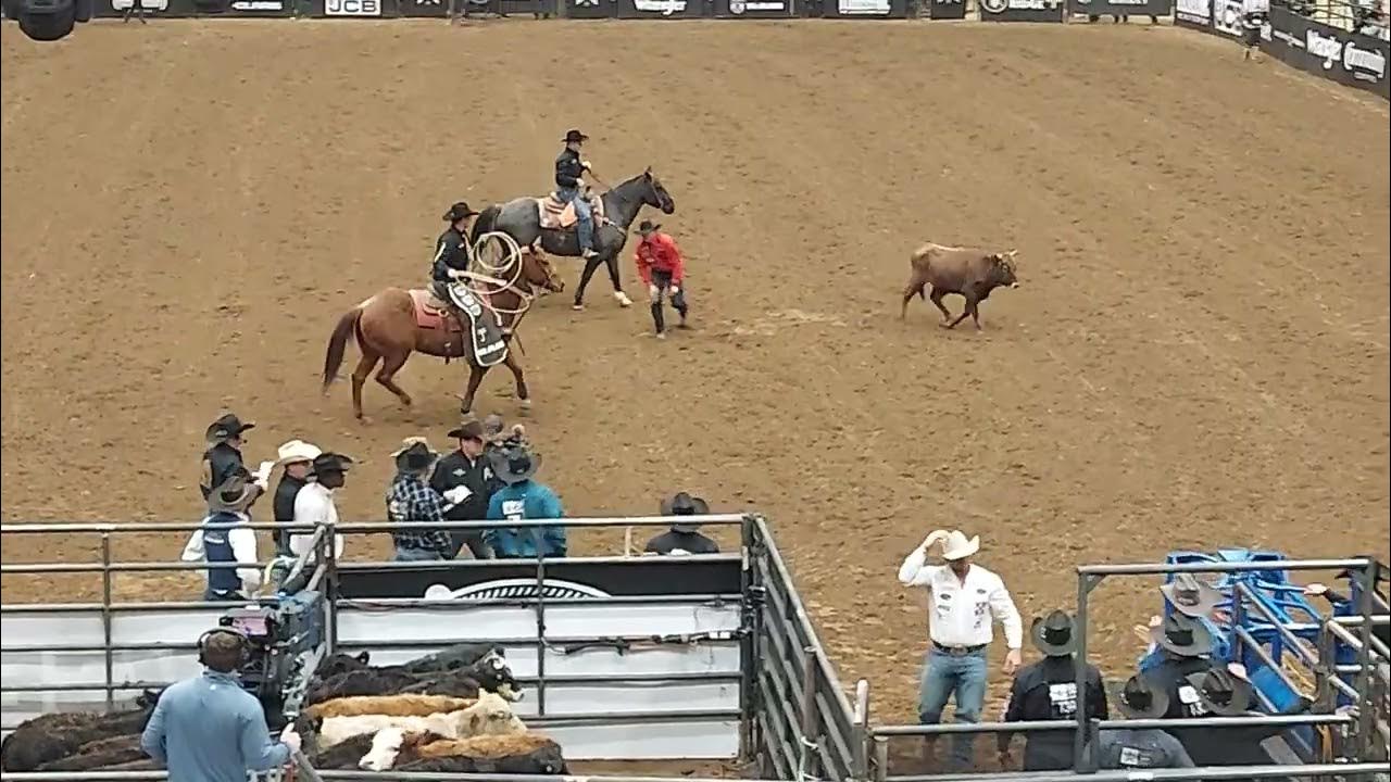 american rodeo lexington take down YouTube