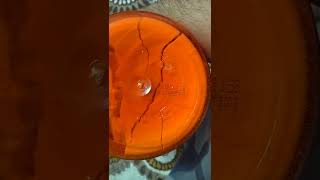 Download Lagu now sports whey protein isolate no sugar MP3