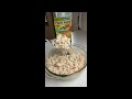 Suddenly Salad Review Is It Worth Buying Again | Suddenly Salad
