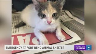 Emergency at Fort Bend County Animal Shelter