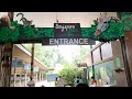 Trip to the Singapore Zoo (2020) - One of the world’s best zoos