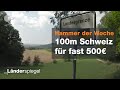 Ärger mit dem Zoll an grüner Grenze - Hammer der Woche vom 31.08.2019  | ZDF