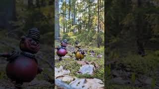 Assembly line robots on the run in a Nova Scotia forest