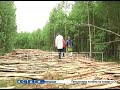 Дорогу на кладбище из горбыля - отходов лесопилки - построили в Семеновском районе
