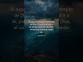 1 corintios 3:17 #Shorts#YouTubeShorts#Biblia#Dios#Jesus#Fe#Cristiano#PalabraDeDios#Reflexion