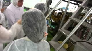 郡山で楽しめる漬物の工場見学は？キムチの製造を生で見学！