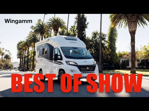 BEST OF SHOW🥇17'