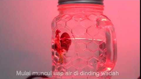 Genidea Ankhara Essa - Percobaan 2 D21113301