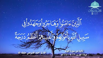 ﴿إنما يعمر مساجد الله من آمن بالله﴾ تلاوة من سورة التوبة صلاة المغرب١٤٤١/٥/٢٩هـ القارئ أحمد الغنبوصي