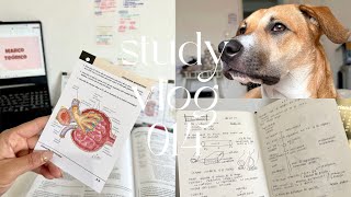 exposiciones, mucho mucho estudio y exámenes estudiando ing. biomédica · study vlog 014