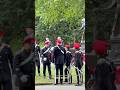 Cavalry Memorial Day #london #history #respect