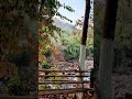 #picnic #picnic2025 #dimahasao #siloni #waterfall #karbiriver #travel