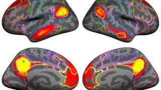 Yeo_etal_JNeurophysiol_2011_PrecuneusPCC.avi