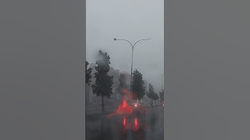 آية الكرسي. سورة البقرة. تلاوة الشيخ سعد الغامدي