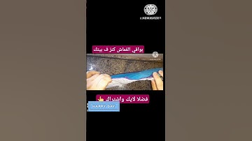 #تلاوة_مؤثرة #تلاوة_خاشعة #حالات #حالات_واتس #إسلام_صبحي #صوت_يريح_القلب #صلوا_علي_النبي #قرآن #تل