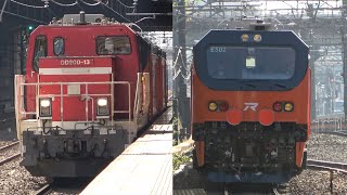 2023/11/02 【甲種輸送】 台鐵 台湾鉄路 E500型 E501号機 東芝府中 西国分寺駅 新秋津駅 | Japan Railways: Taiwan Railways Class E500