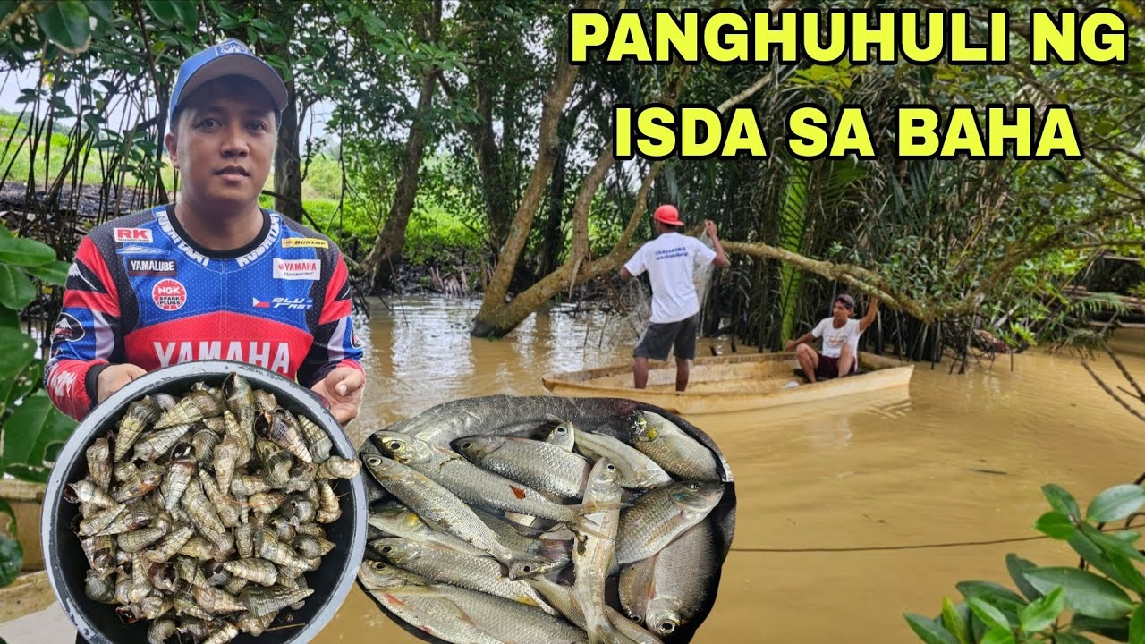 Catch & Cook Naglabasan ang mga isda Galing sa baha..Panghuhuli gamit ang panti