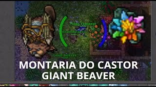 MONTARIA DO GIEAN BEAVER A MONT DO CASTOR