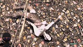 Skyrim: Exploding Chickens Killed Serana