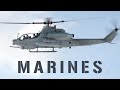 US and European Marines Strengthen Transatlantic Security