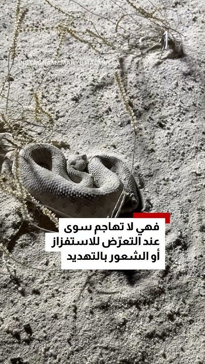  ..         
 - نشر قبل 9 دقيقة