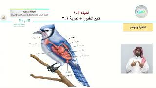 تابع الطيور، وتجربة 1-3 - الأحياء (2-1) - المسار العام والصحة والحياة - السنة الثانية