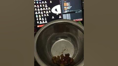 EXTRA CREDIT HOME PROJECT CAT FOOD DISPENSER (EML 4804)