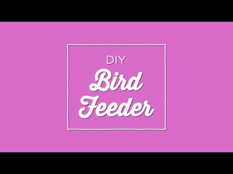Video: How To Make A Heart-shaped Bird Feeder