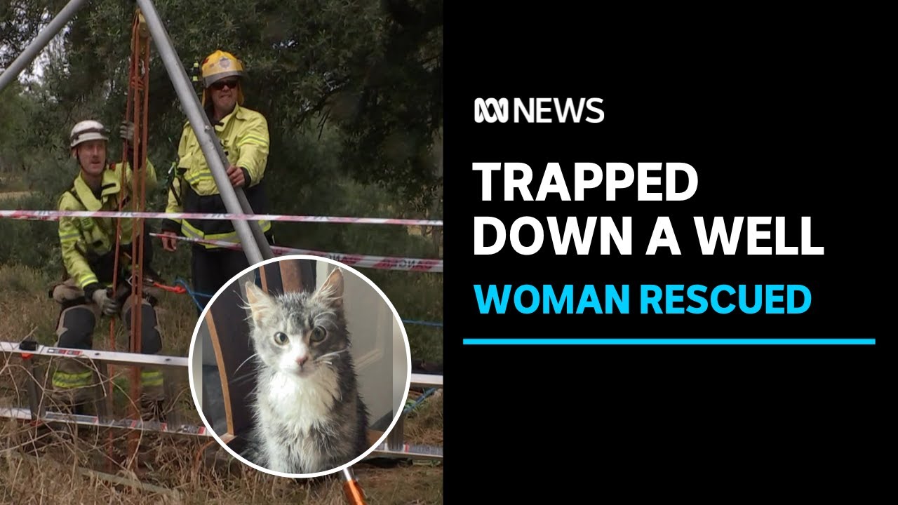 Woman and her cat rescued after getting stuck down a well | ABC News ...