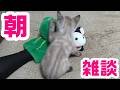 朝から雑談！パペットマペット雑談生放送🐮🐸