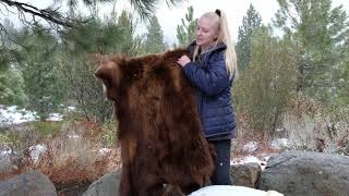 Winter Adaptations: Hibernation