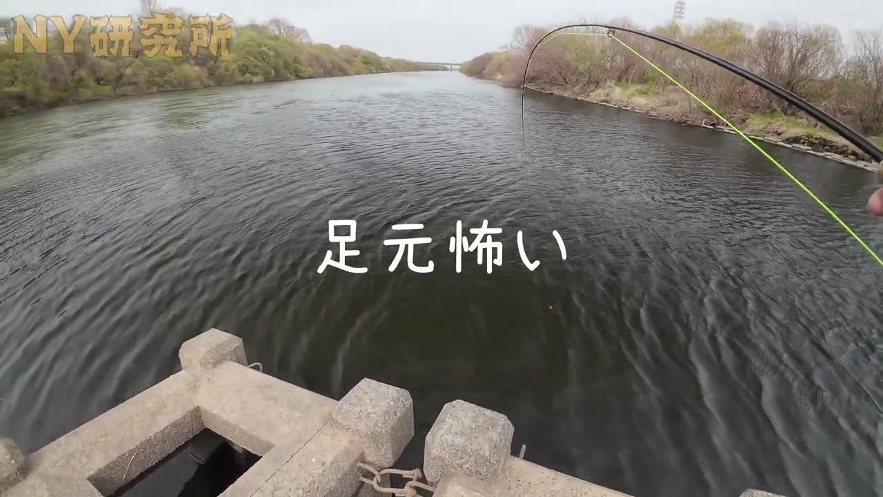 20260417 Something's on the line! Sapporo Fly Fishing - YouTube