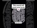 Sound To Reset Your Brain And Improve Focus Focus Motivation Neet Braintricks Shorts mp3