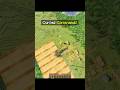 Minecraft Cursed Commands Moment 💀
