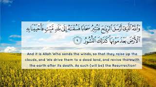 Surah Fatir, Ayat 1 to 17